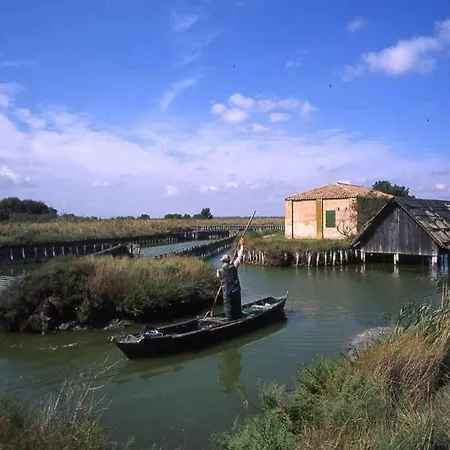 Nettuno 137d * Lido di Pomposa