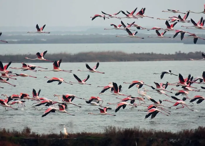 Prázdninový dům Nettuno 137d