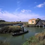 Nettuno 137d * Lido di Pomposa