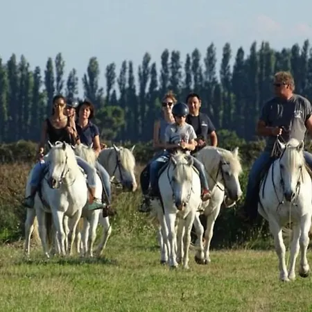 Nettuno 137d Лидо-ди-Помпоза