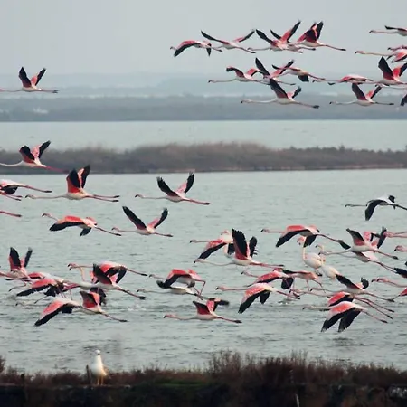 Σπίτι διακοπών Nettuno 137d