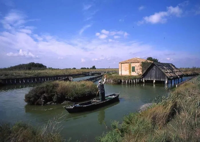 Nettuno 137d * לידו די פומפוזה