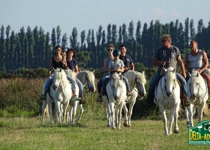 Nettuno 137d Lido di Pomposa